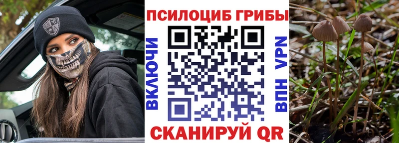 купить наркоту  Полесск  Псилоцибиновые грибы мухоморы 